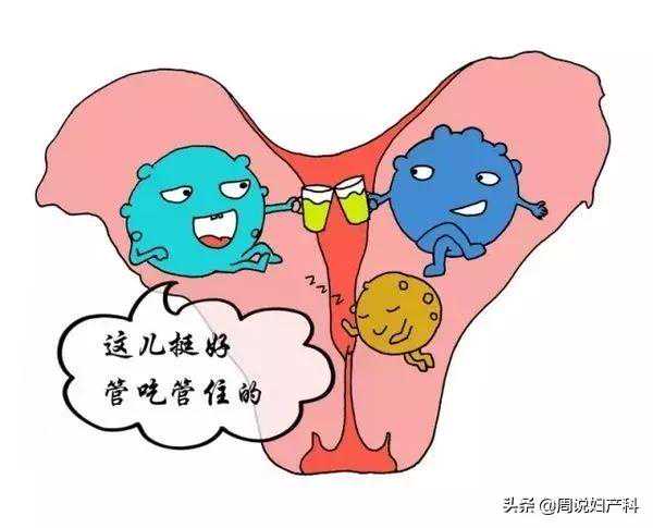 香港验血查性别19楼,月经期的子宫内膜厚度多少正常