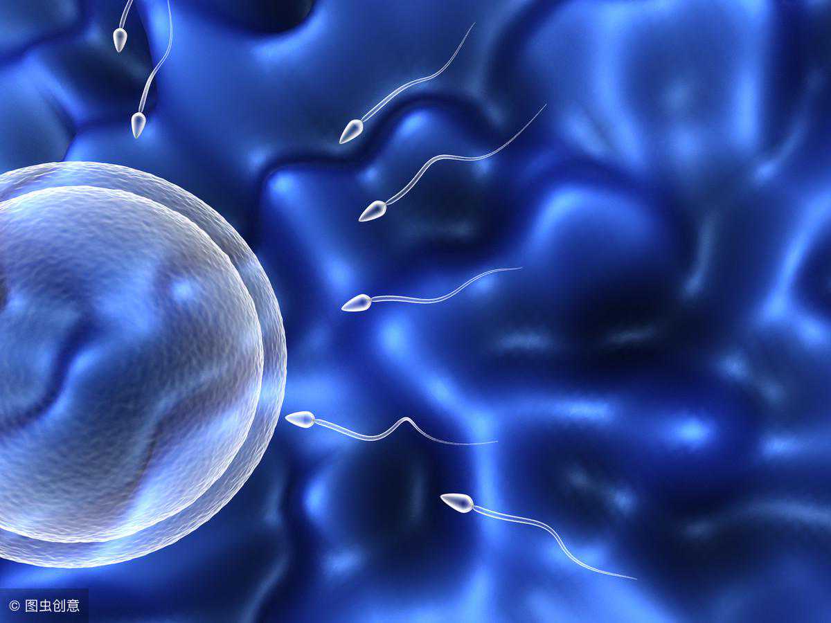 流产五个月怀孕香港验血,备孕二胎男孩成功经验，来说说怎么科学怀男宝宝？