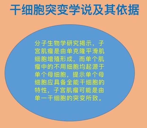 香港验血染色体多少费用,子宫肌瘤患病率达25%，是否影响试管婴儿怀孕成功率